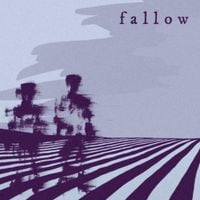Primrose - Fallow