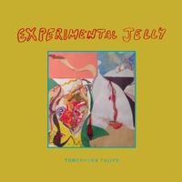 Tomorrows Tulips - Experimental Jelly