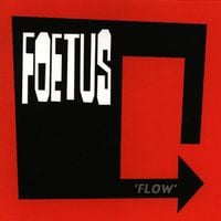Foetus - Flow