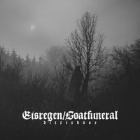 Eisregen - Bitterb&ouml;se