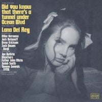 Lana Del Rey - The Grants