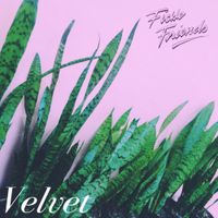Fickle Friends - Velvet