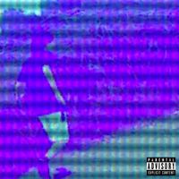 Mushii - Purple