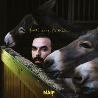 N.A.I.P. - Dovrei dire la mia