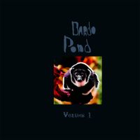 Bardo Pond - Bardo Pond, Vol. 1
