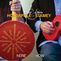 Chris Stamey - Here and Now