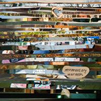 Momentary Warmth - Momentary Warmth