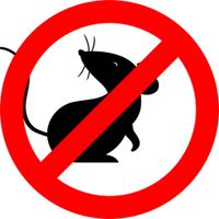 Ultrasonic Pest Repeller - Mouse Repellent