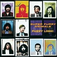 Super Furry Animals - Fuzzy Logic