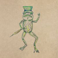 Animal Collective - A Night at Mr. Raindrop's Holistic Supermarket