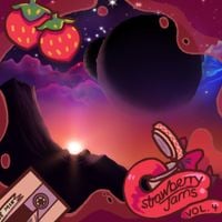 Celeste Strawberry Jam - strawberry jams vol. 4