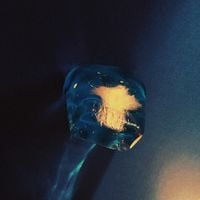 TAXIDERMIA - TAXIDERMIA vol. 1