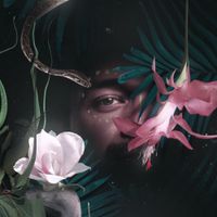 Montoya - Otun