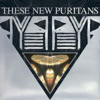 These New Puritans - Beat Pyramid