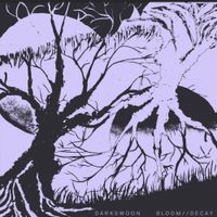 Darkswoon - Bloom Decay