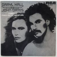 Daryl Hall & John Oates - Camellia