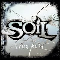 SOiL - True Self