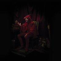 Yorick Van Norden - The Jester
