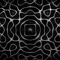 Node - Singularity
