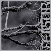 Feigur - II, Desolation