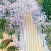 明晰夢のキャッチャー [Lucid Dream Catcher] - 寺​院​へ​の​通​路