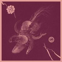Aaron Turner & Jon Mueller - Now That You've Found It