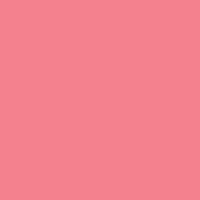 BIGBABYGUCCI - SALMON PINK