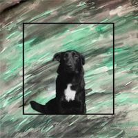 Courtesy Drop - Argonaut