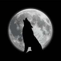 ASHYWUFF! - WUFF!