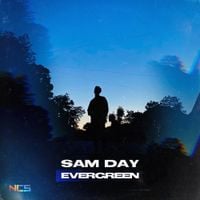 Sam Day - Evergreen