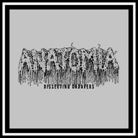 Anatomia - Dissecting Cadavers