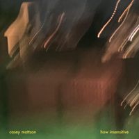 Casey Mattson - how insensitive