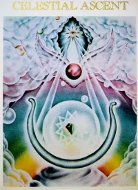 Don Robertson - Celestial Ascent
