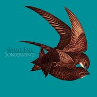 Whale Fall - Sondersongs