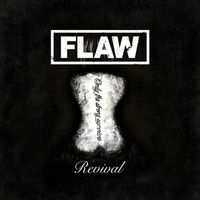 Flaw - Broken