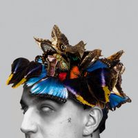 Sobel - Pułapka Na Motyle (Deluxe Edition)