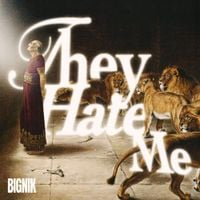 BigNik - They Hate Me