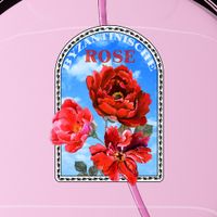 Shindy - Byzantinische Rose