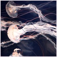Purl & Sinius - Oceans of Sound