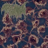 Trichomoniasis - Terminal Inversion