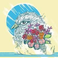 Pulses. - bouquet.