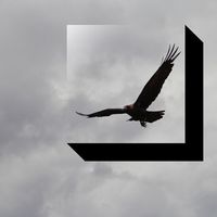 Kinny Zimmer - Oko Ptaka Z G&oacute;ry Patrzące