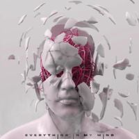 Nevertel - EVERYTHING IN MY MIND
