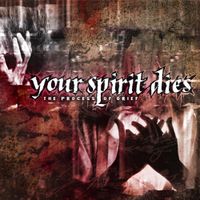 Your Spirit Dies - The Process of Grief