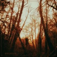 Awenden - Golden Hour
