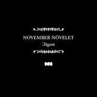 November N&ouml;velet - Magic