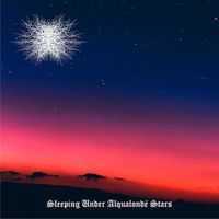 Alt&uacute; Pag&aacute;n&aacute;ch - Sleeping Under Alqualond&euml; Stars