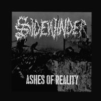Sidewinder - Ashes of Reality