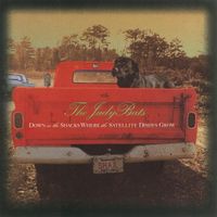 The JudyBats - Down in the Shacks Where the Satellite Dishes Grow
