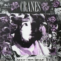 Cranes - Self-Non-Self